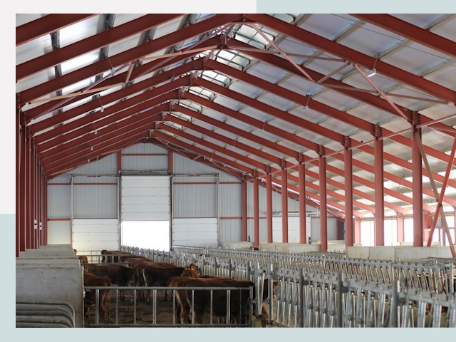 Строительство коровников в Карабулаке