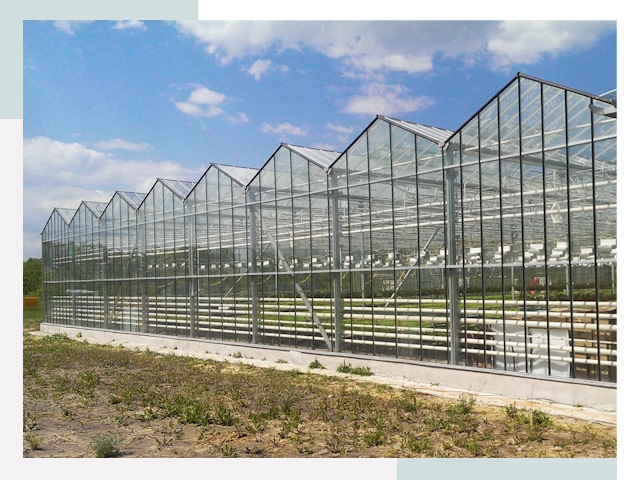Строительство теплиц в Карабулак от 620 руб. за м²