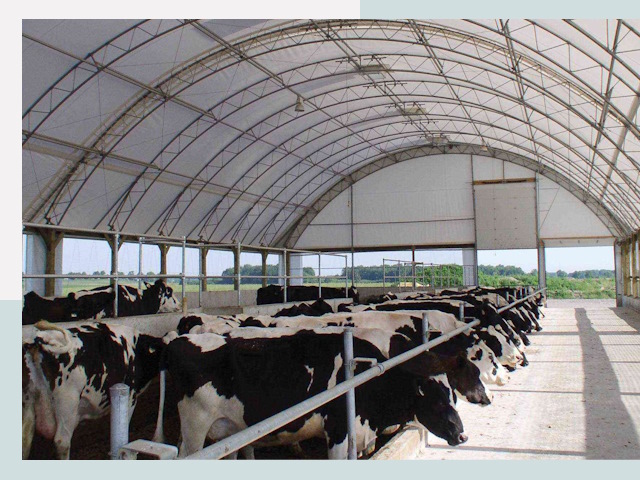 Тентовые коровники в Карабулаке